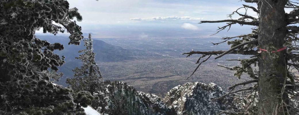Winter Hike and view at the Sandia Crest