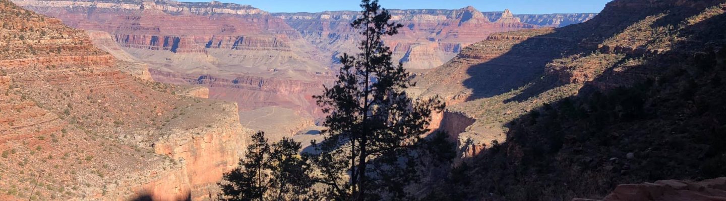 COVID travel plans to the Grand Canyon