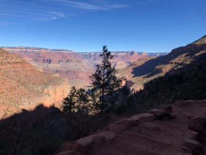 COVID travel plans to the Grand Canyon